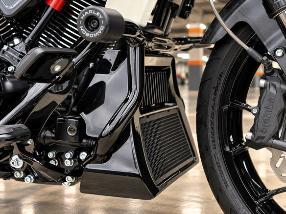 2024 Harley-Davidson CVO Road Glide ST, белый, 5500000 рублей - вид 9
