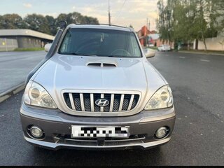2003 Hyundai Terracan I, серый, 380000 рублей, вид 2