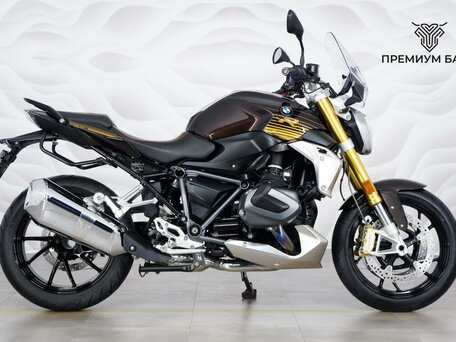 2019 BMW R 1250 R, коричневый, 1149000 рублей, вид 1
