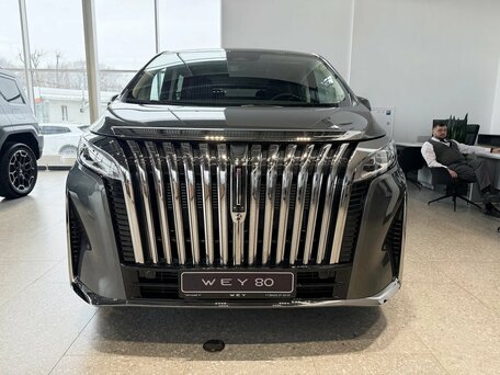 2025 Wey 80 Premium 37.96 kWh, серый, 7199000 рублей, вид 2