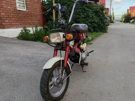 1982 Honda Express, пурпурный, 45000 рублей, вид 3