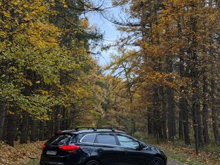 2014 Kia Ceed II, чёрный, 1150000 рублей, вид 4