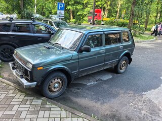2010 Lada (ВАЗ) 2131 (4x4) Рысь I, серый, 300000 рублей, вид 1