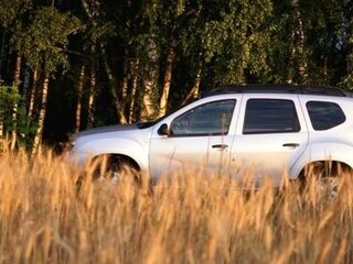 2017 Renault Duster I Рестайлинг, серебристый, 1850000 рублей, вид 4