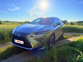2018 Lexus RX 300 IV, золотистый, 3920000 рублей, вид 1