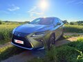 2018 Lexus RX 300 IV, золотистый