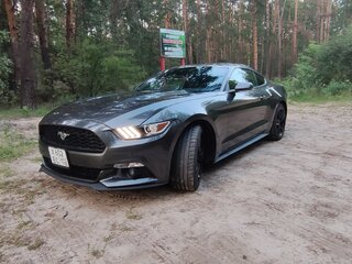 2016 Ford Mustang VI, серый, 3000000 рублей, вид 1