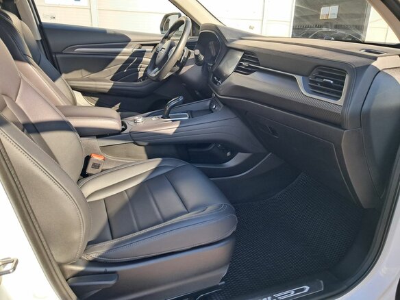 2021 Haval F7x I, белый, 1670000 рублей - вид 10