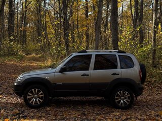 2012 Chevrolet Niva I Рестайлинг, серый, 450000 рублей, вид 3