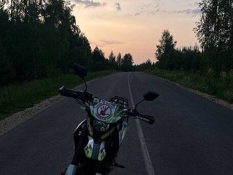 2022 Racer Panther, зелёный, 90000 рублей, вид 3