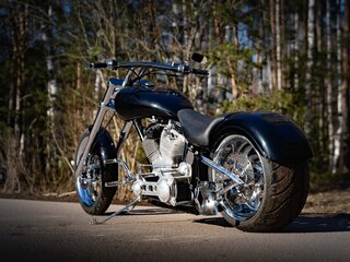 2009 Harley-Davidson Softail Custom, чёрный, 1200000 рублей, вид 2