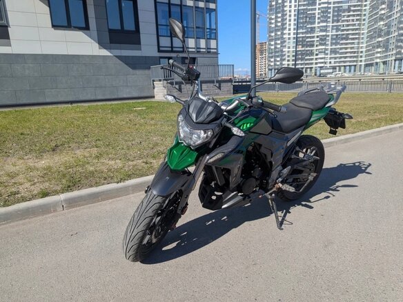 2022 Regulmoto T-Leopard 300, зелёный, 185000 рублей - вид 5