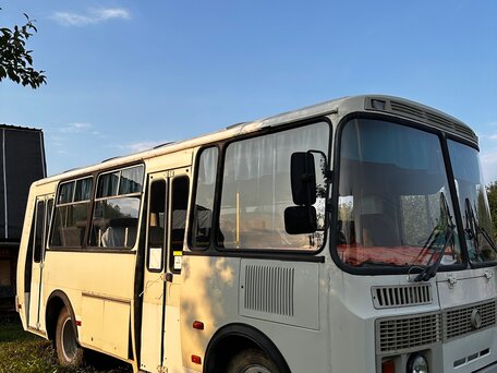 2010 ПАЗ 3205, белый, 255000 рублей, вид 1