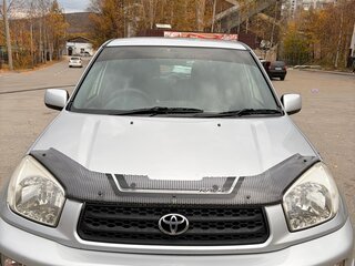 2002 Toyota RAV4 II (XA20), серебристый, 600000 рублей, вид 1