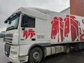 2017 DAF XF 105, белый, 2550000 рублей - вид 2