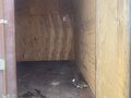 2000 ГАЗ ГАЗель (3302), бежевый, 300000 рублей - вид 3