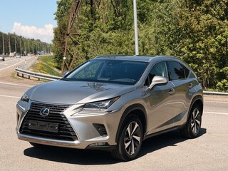 2019 Lexus NX 300h I Рестайлинг, серебристый, 3600000 рублей, вид 1