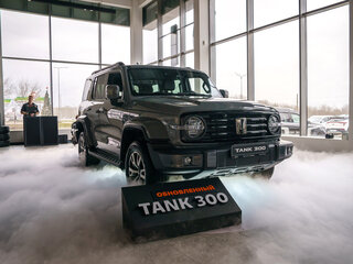 2025 Tank 300 I, серый, 5249000 рублей, вид 5