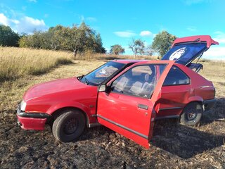 1994 Renault 19 II, красный, 110000 рублей, вид 2