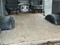 2010 УАЗ 2206, серый, 400000 рублей - вид 7