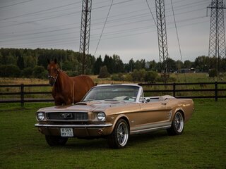 1966 Ford Mustang I, золотистый, 12500000 рублей, вид 3