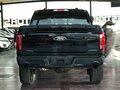 2025 Ford F-150 SuperCrew Lobo XIV Рестайлинг, чёрный, 10800000 рублей - вид 3
