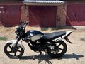 2020 Racer Tiger, чёрный, 65123 рублей - вид 7