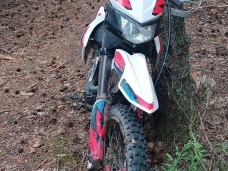 2020 GR GR-SX150, белый, 80000 рублей, вид 2