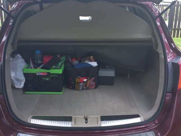 2009 Nissan Murano II (Z51), красный - вид 16