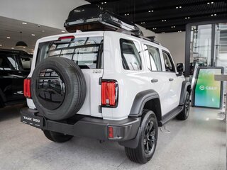 2026 Tank 300 I, белый, 4499000 рублей, вид 5