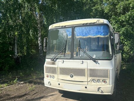 2018 ПАЗ 32053-20, белый, 600000 рублей, вид 4