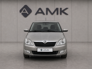 2013 Skoda Fabia II Рестайлинг, бежевый, 509983 рублей, вид 3