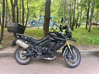 2014 Triumph Tiger 800, чёрный, 560000 рублей, вид 4