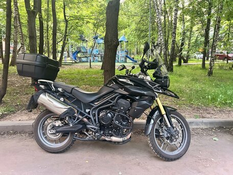 2014 Triumph Tiger 800, чёрный, 560000 рублей, вид 4
