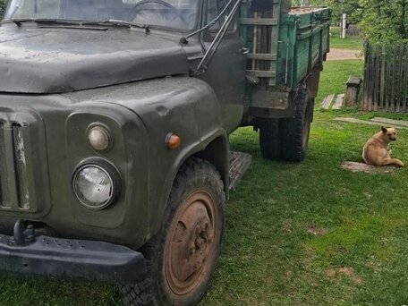 1985 ГАЗ 52, зелёный, 130000 рублей, вид 2