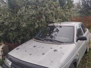 2002 Lada (ВАЗ) 2110, серый, 80000 рублей, вид 1
