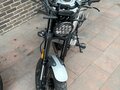 2025 Fuego Scrambler 3.0, серый, 180000 рублей