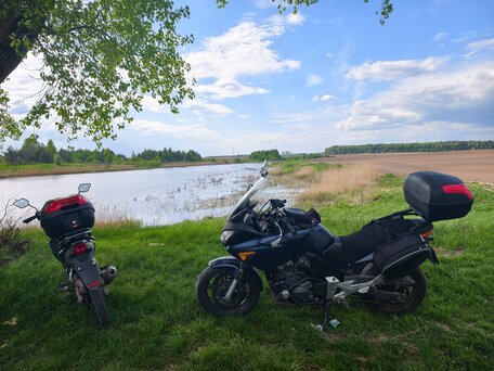 2004 Honda CBF 600, синий, 305000 рублей, вид 2