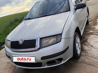 2005 Skoda Fabia I Рестайлинг, серебристый, 295000 рублей, вид 1