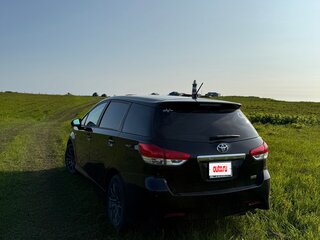 2010 Toyota Wish II, чёрный, 1100000 рублей, вид 4