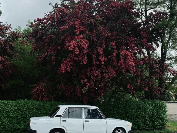 2001 Lada (ВАЗ) 2107, белый, 90000 рублей - вид 3
