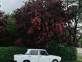 2001 Lada (ВАЗ) 2107, белый, 90000 рублей - вид 3