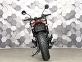 2024 Harley-Davidson X350, белый, 479000 рублей - вид 5