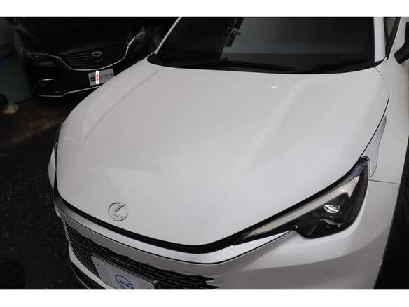 2025 Lexus LBX, белый, 4333666 рублей - вид 13