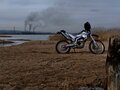 2007 Yamaha WR250R, белый, 500000 рублей - вид 5