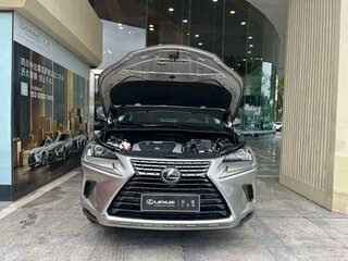 2021 Lexus NX 200 I Рестайлинг, серый, 2659000 рублей, вид 2