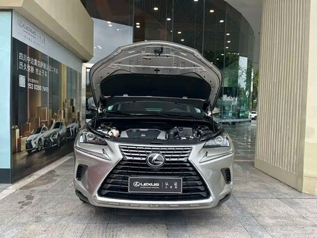2021 Lexus NX 200 I Рестайлинг, серый, 2659000 рублей, вид 2