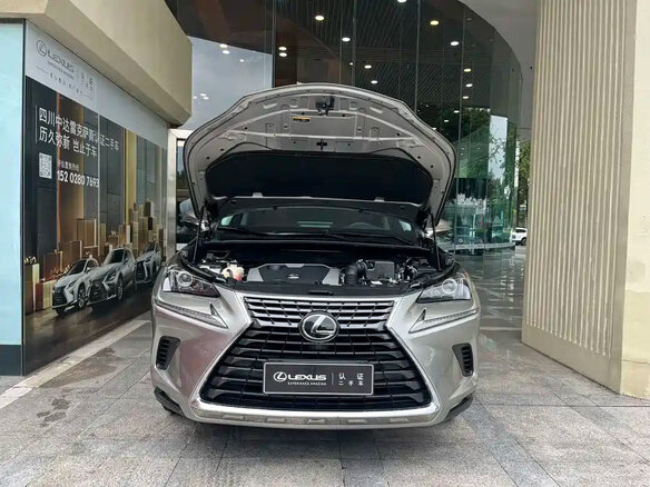 2021 Lexus NX 200 I Рестайлинг, серый, 2659000 рублей - вид 1