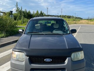 2001 Ford Escape I, серый, 300000 рублей, вид 4