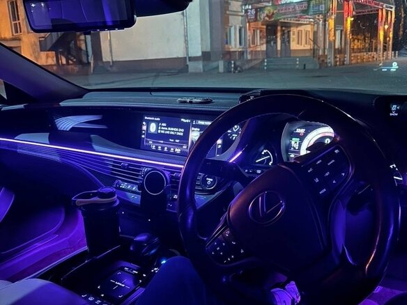 2017 Lexus LS 500h V, коричневый, 3990000 рублей - вид 9